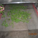 Microwave dryer/microwave drying /microwave sterilizing machine for herbs/teas/spice etc