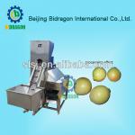 2013 Hot Sale Complete Automatic Onion Peeler and Root Cutting Machine