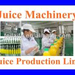 Complete Fruit Juice Production Line(Hot Sale)-
