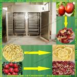 China Wdely Used Fruit Dryer with Good Price and Quality-