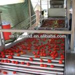 tomato paste processing line/produce tomato sacuce,juice, ketchup