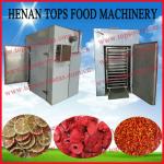 2013 China newest fruit drying machine/fruit and vegetable dryer