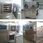 freeze dryer machine/vacuum freeze dryer/fruit and vegetable dryer