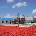 tomato paste production line