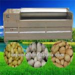 2013 Hot Sale Brush Type Industrial Potato Peeling Machine