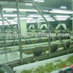 drying cabbage whole-set equipment-