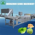 Automatic Crate Washing Machine for sale