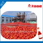 Turnkey project tomato paste production line-