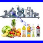 Complete Fruit Juice Processing Line (Hot Sale)-