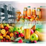 Fruit Processing line( different fruits need different machines)