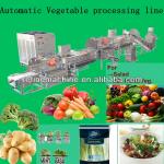 automatic vegetable processing line/salad/IQF