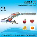 High Speed Automatic Fresh Fruit Washer