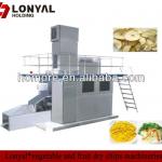 vegetable and fruit dry chips machines