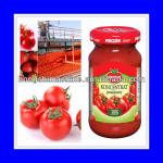 Multifunctional tomato paste machine/tomato paste making machine-