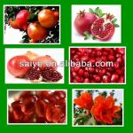 pomegranate peeler machine / pomegranate peeling machine 0086-15824839081