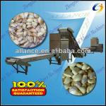 100% direct factory sale garlic processing line in China-