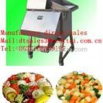 2013 new arrival multifunction electric vegetable cutter