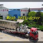 DW Series Mesh-Belt Drying machine for drying vegetable-