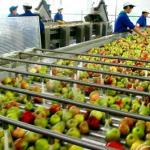 fruit juice processing machinery manufacturer-