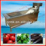 New functional vegetable washing machine-