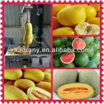 Stainless steel and durable Fruit Peeling Machine for watermelon,papaya, pumpkin, taro with best quality-