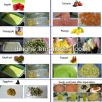 Fruits and vegetable pulper, paste machine-