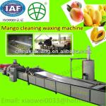Mango papaya hot water treatment washing drying and waxing machine