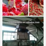 Pomegranate arils processing machine