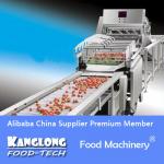 Production Line For Quick-freezing Of Strawberry-