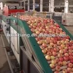 FXX-GDL2 Kaixiang Fruit Washing and Waxing machine-