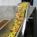 complete set of apple processing line