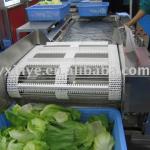 TX-II vegetable pretreatment blanching processing line