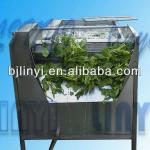 LINYI series Profesional Manufacturer Reliable Quality Fruits and Leafy Vegetables Washing Machine 0086(0)13521786207