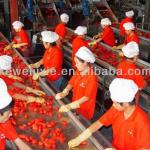 High quality machines for tomato paste production line