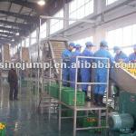 Citrus Fruits Processing line