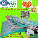 tomato potato cleaning drying and grading machine