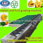 The most advanced papaya and mango sorting machine