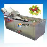 ~Manufacturer~ vegetable high pressure air bubble leaf vegetable lettuce cabbage spinach celery vegetable washing machine