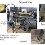 Professional manufacturer of Screw juicer
