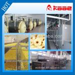 Hot sell apple chips production line