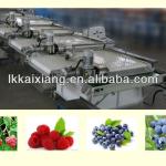 XGJ-DXLM Kaixiang Blueberry grading machine