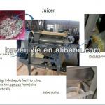 fruit juicer