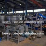 whole Fruit processing line