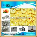 Low Fat Vacuum Frying Apple Fruit Chip Making Machine Production Line JYFA--005 Apple Washing Machine Apple Peeling Machine