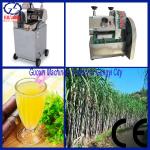 2% Discount And Good Taste Electric Sugarcane Juice Extractor