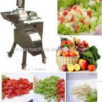 Fruit and Vegetable Cube Cutting Machine/fruit and vegetable dicing machine