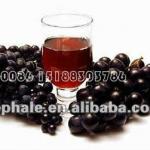 industrial fruit extractor grape crusher