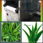 pure aloe vera plant extract machion