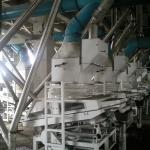 Series of Corn Grit, Flour and Germ Dry milling Line