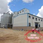 200-500T/D maize flour machinery/corn flour machinery/corn roller mill can produce super white maize meal and grits-